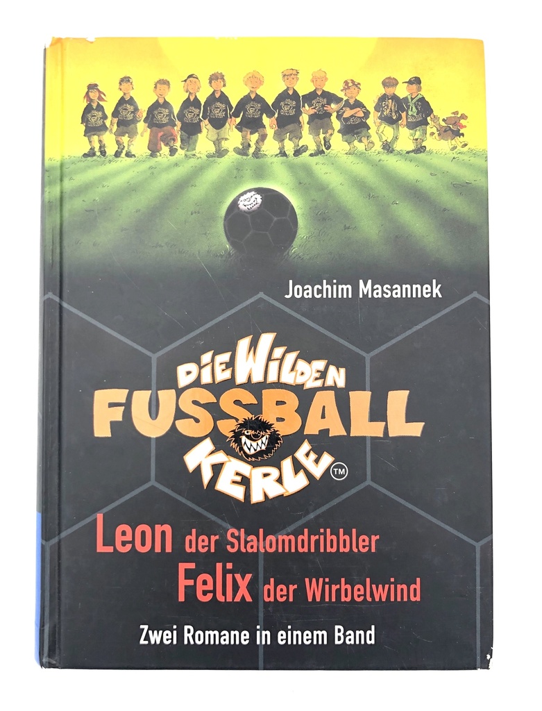 Die wilden Fussball Kerle