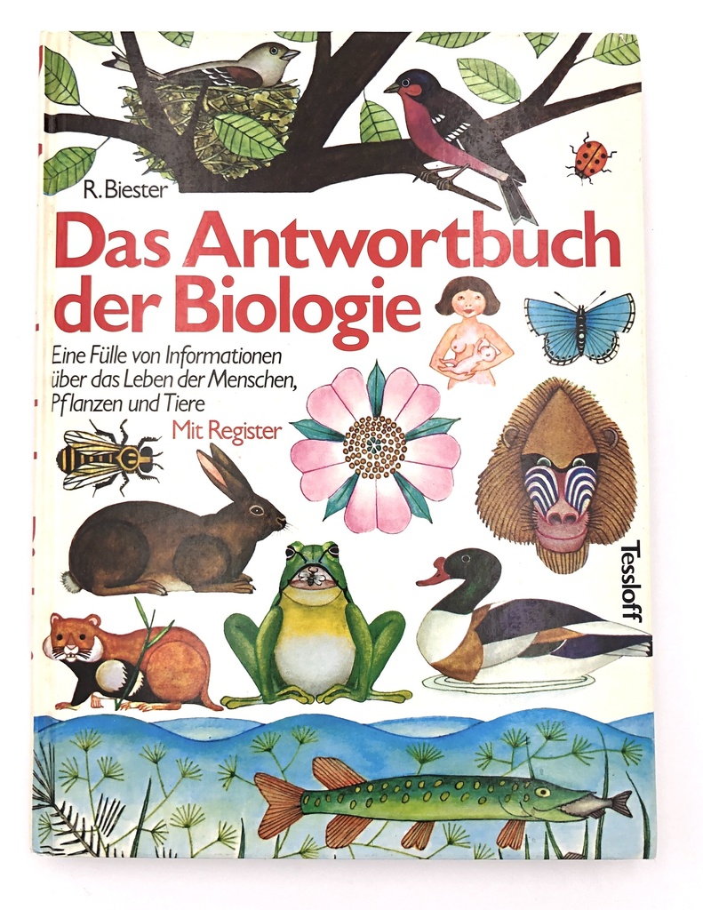 Das Antwortbuch