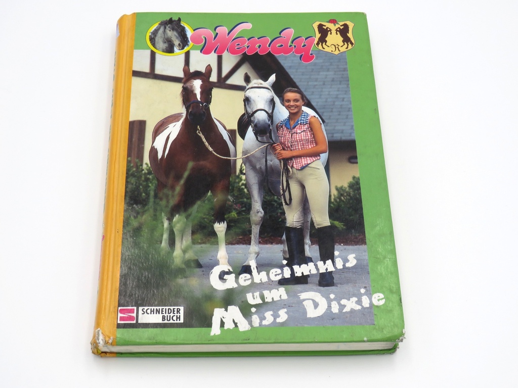 Wendy - Geheimnis um Miss Dixie
