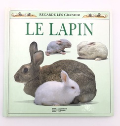 [19BO1104] Le Lapin