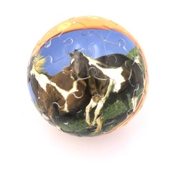[20PU0030] Puzzle Ball Horses