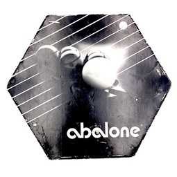 [20GA0028] Abalone