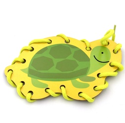 [19CR0564] Turtle